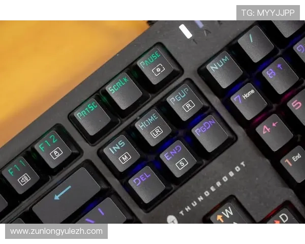 探索凯时KS电竞的多元化游戏类型满足不同玩家的个性化需求